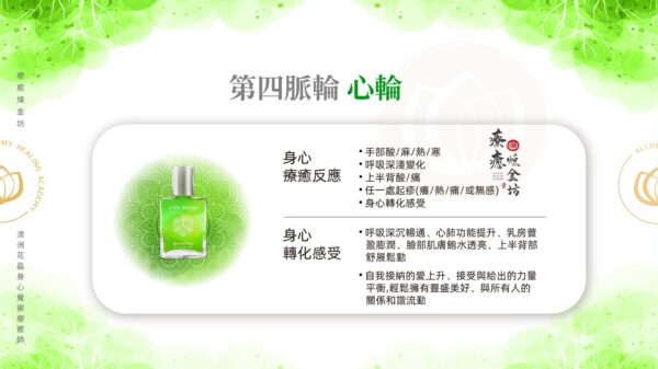 透過身心覺察釋放第四脈輪的身體印記,補充對應心輪的身心能量,將會釋放身體印記、療癒兒時創傷。