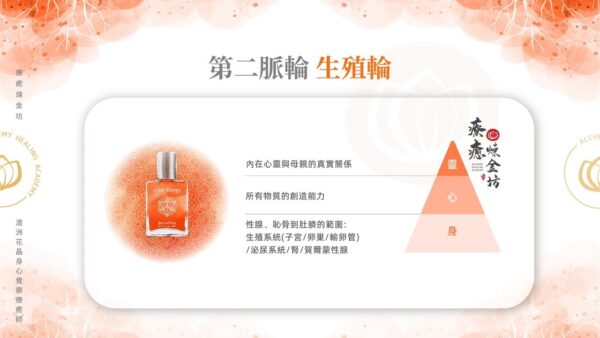 從身(性腺、恥骨到肚臍的範圍)、心(所有物質的創造能力)、靈(內在心靈與母親的真實感受)三個面向,了解第二脈輪生殖輪。