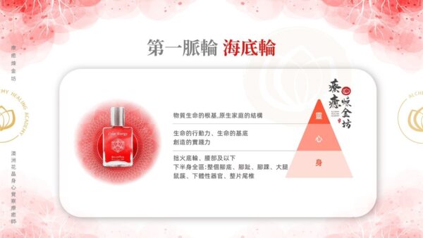 從身(下半身全區)、心(生命的行動力、創造的實踐力)、靈(原生家庭結構)三個面向,了解第一脈輪海底輪。