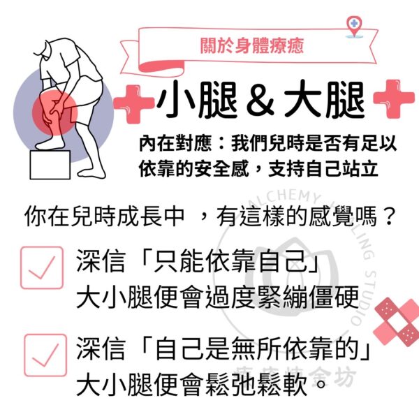小腿及大腿的內在對應:我們兒時是否有足以依靠的安全感,支持自己站立。