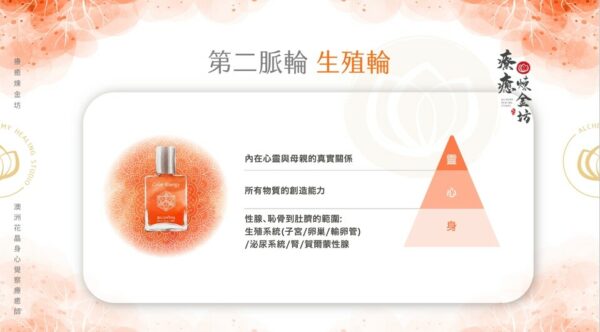 生殖輪與身心靈