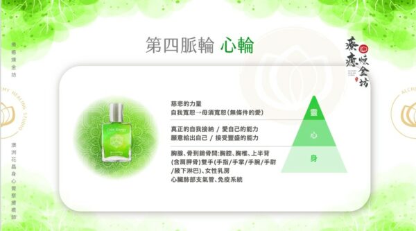 心輪與身心靈