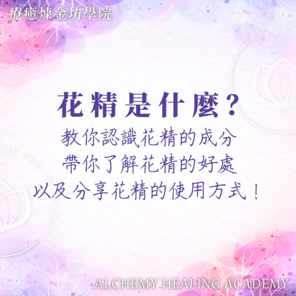 認識花精成分、好處與使用方式